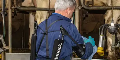 Tips voor betere arbeidsomstandigheden tijdens het melken